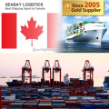 Ningbo Professional Ocean Freight Forwarder a Montreal